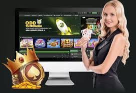 vbet12